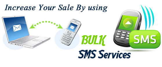 Bulk SMS Services in Delhi
