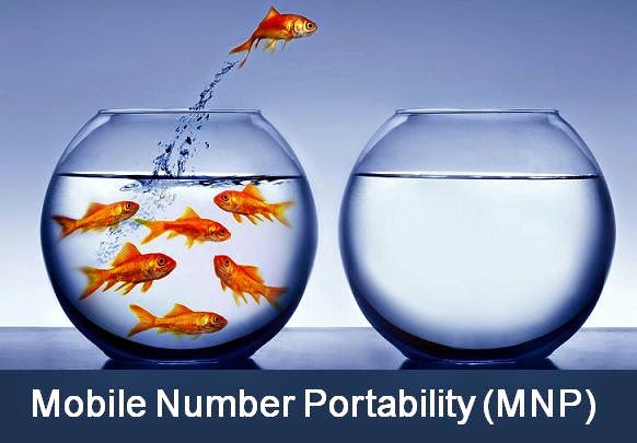 Step by Step Guide for Mobile Number Portability 