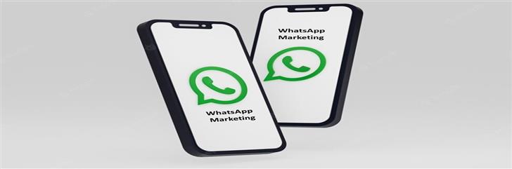 Want a Thriving Business Focus on How Can Whatsapp Be Used For Marketing